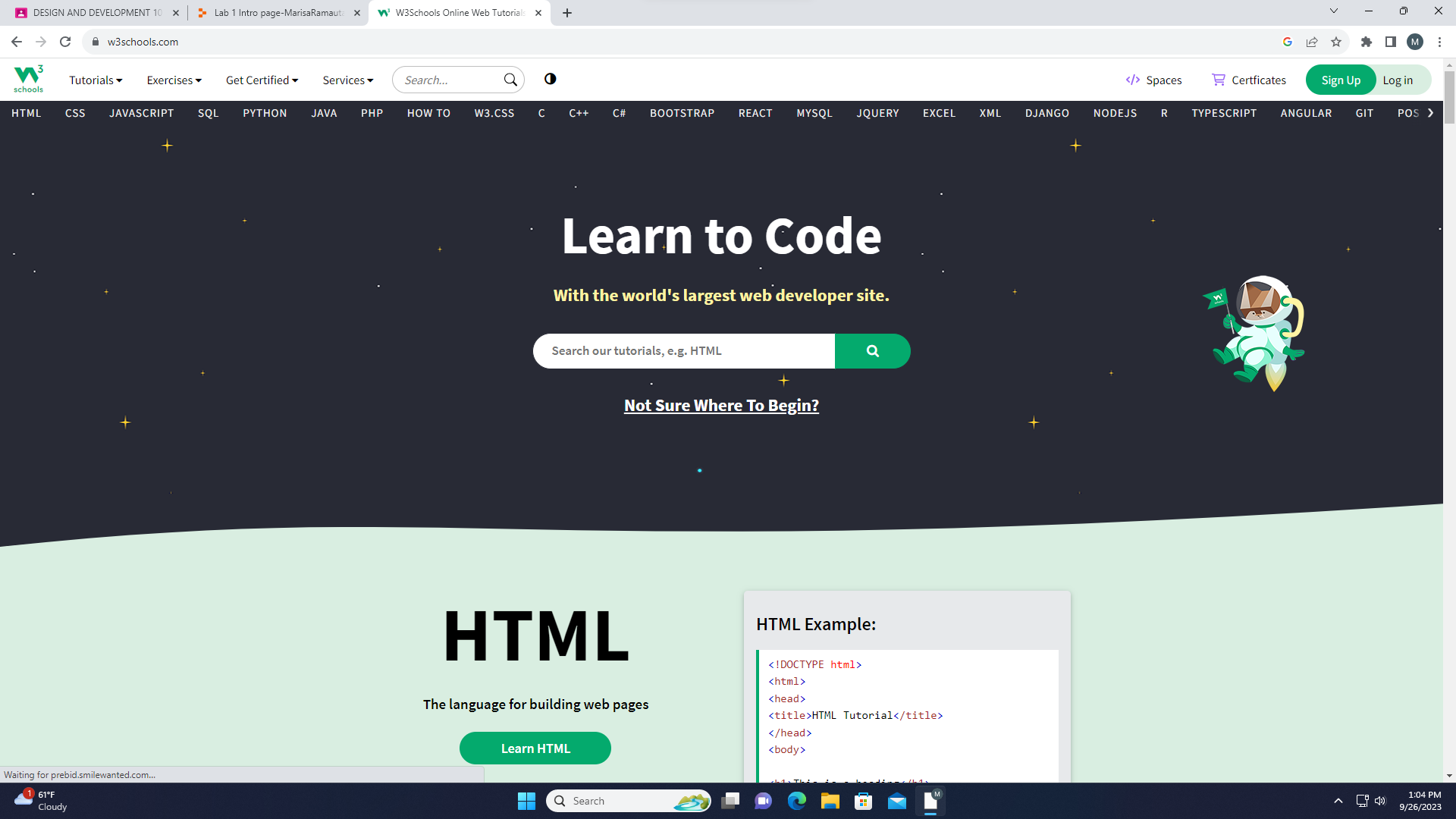 Screenshot of w3 schools